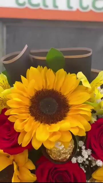 Vídeo de Floricultura Cia das Plantas