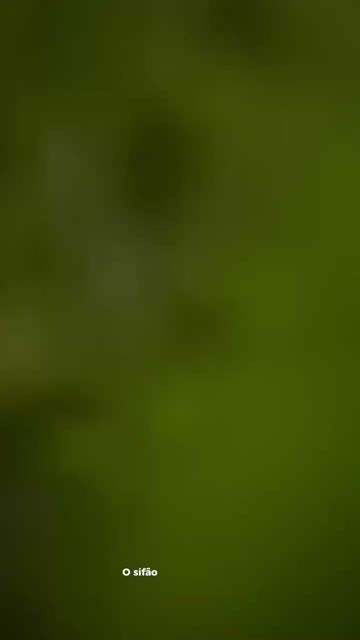 Vídeo de Paulimarx Conceito - O melhor em metais para sua Casa: Torneira, Chuveiro, Ducha, Ralo, Misturador, Válvula, Acabamento