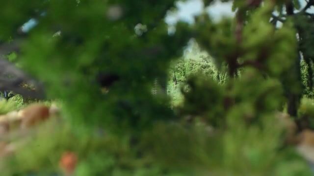Video de Xplora La Triestina