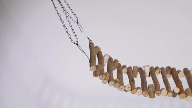 Vídeo de Ponte P Natural de Eucalipto para Aves com Ganchos para Pendurar | Enriquecimento Ambiental PIU BOX