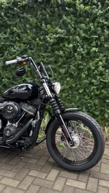 Video de ESCAPE MEDIUM SHOT - SOFTAIL M8