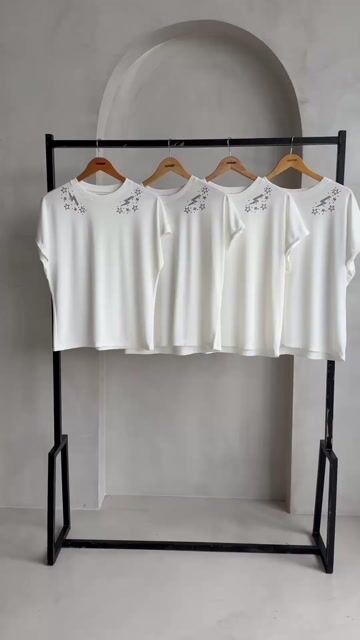 Video de Remera Denia