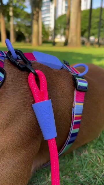 Video de Zooghy Accesorios