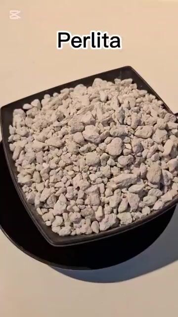 Video de PERLITA NATURAL AGRICOLA PARA SUSTRATOS CACTUS Y BONSAIS