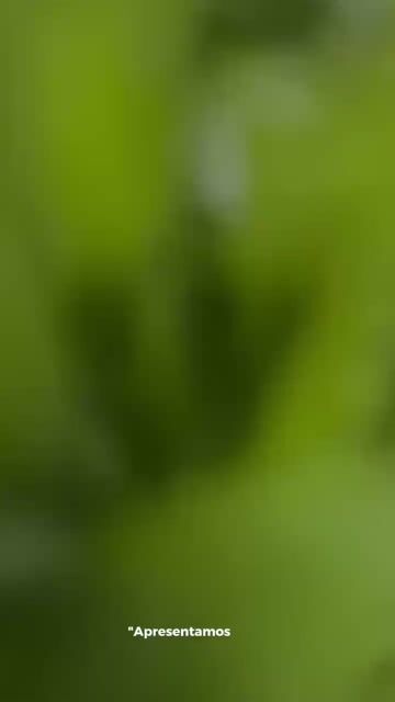 Vídeo de Paulimarx Conceito - O melhor em metais para sua Casa: Torneira, Chuveiro, Ducha, Ralo, Misturador, Válvula, Acabamento