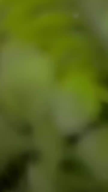 Video of Paulimarx Conceito - O melhor em metais para sua Casa: Torneira, Chuveiro, Ducha, Ralo, Misturador, Válvula, Acabamento