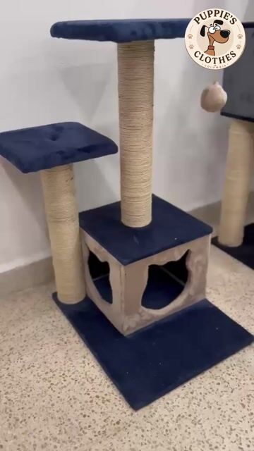 Video de Gimnasio Royal (desarmable)