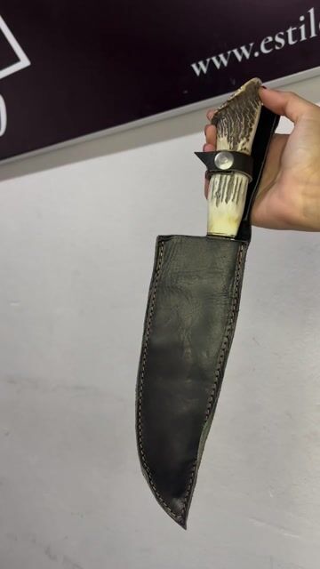Video de Bowie Vikingo Deluxe