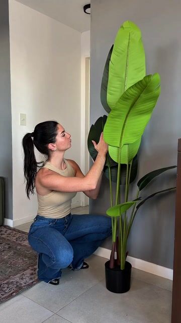 Video de Planta Strelitzia Artificial 160cm