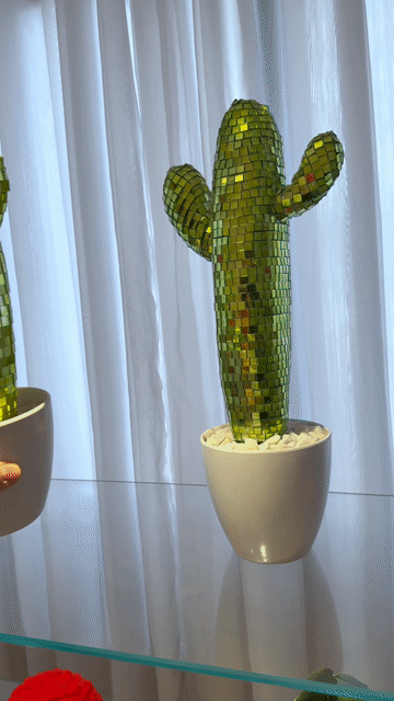 Vídeo de Adorno Disco Cactus