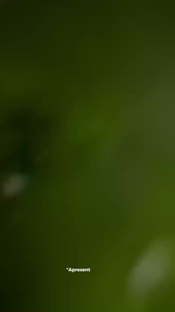 Video de Paulimarx Conceito - O melhor em metais para sua Casa: Torneira, Chuveiro, Ducha, Ralo, Misturador, Válvula, Acabamento