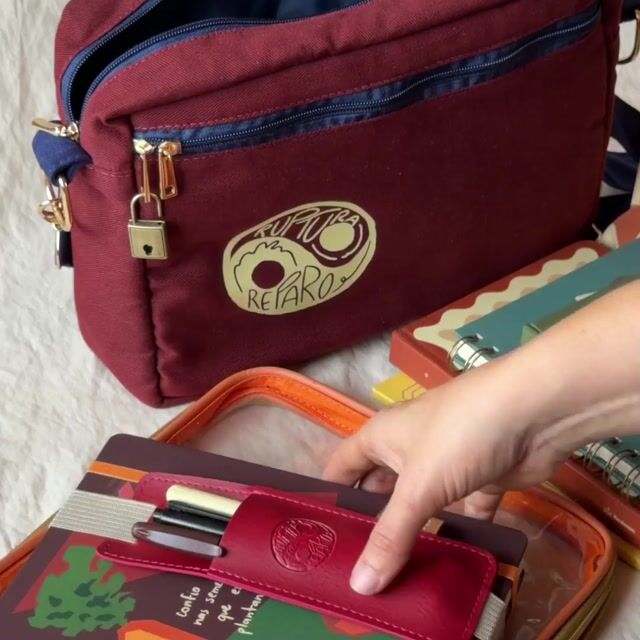 Vídeo de bolsa guardiã