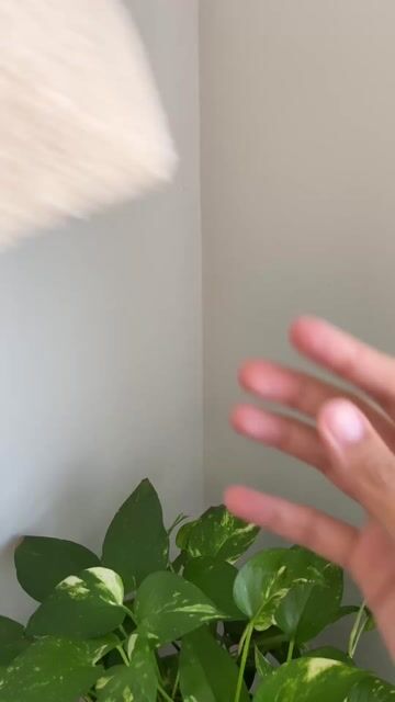 Video de NECESSAIRE YSL BEAUTÉ