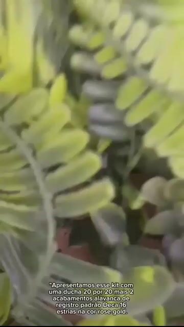 Vídeo de Paulimarx Conceito - O melhor em metais para sua Casa: Torneira, Chuveiro, Ducha, Ralo, Misturador, Válvula, Acabamento