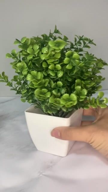 Video de Set X6 Mini Planta Flores Artificial Deco Plástico Interior