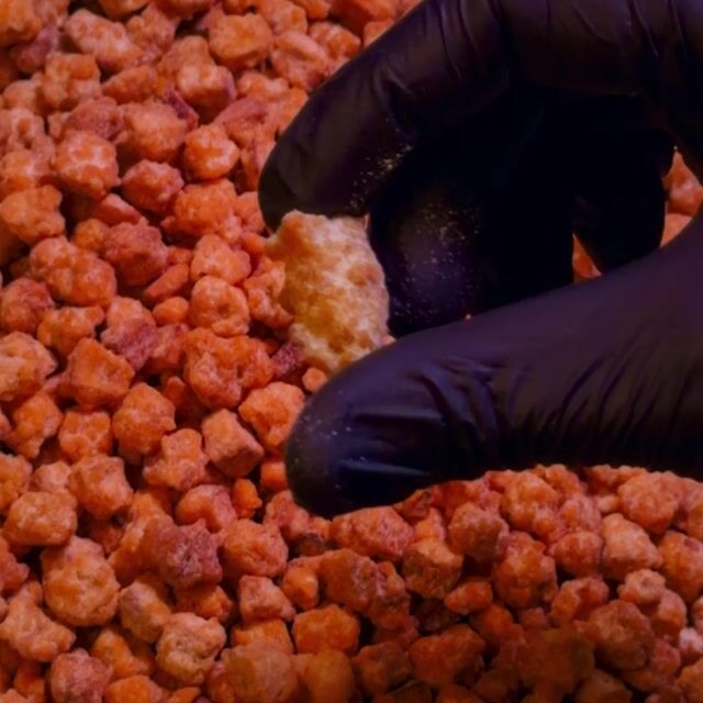 Vídeo de Grão Nutriworld