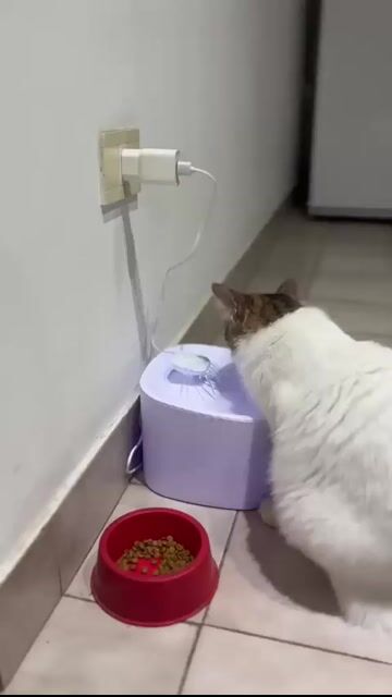 Video de Megamas