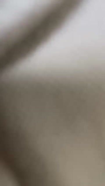 Video de CAMISETA-POLO-PRL-AZUL