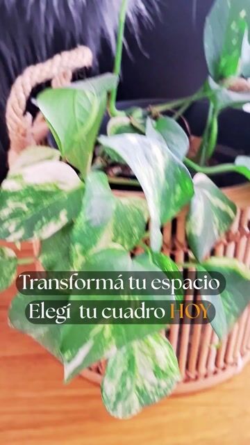 Video de Cuadro eco cuero 120 x 60
