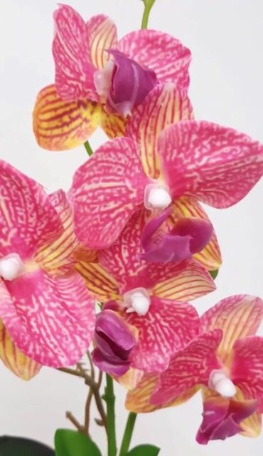 Video de Planta Artificial Orquídea Rosa 34 cm
