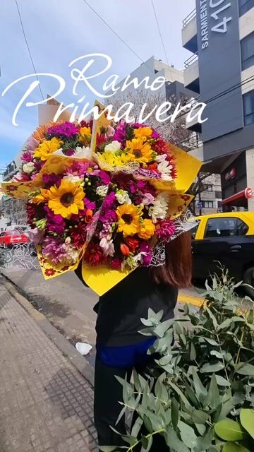 Video de Ramo Primavera