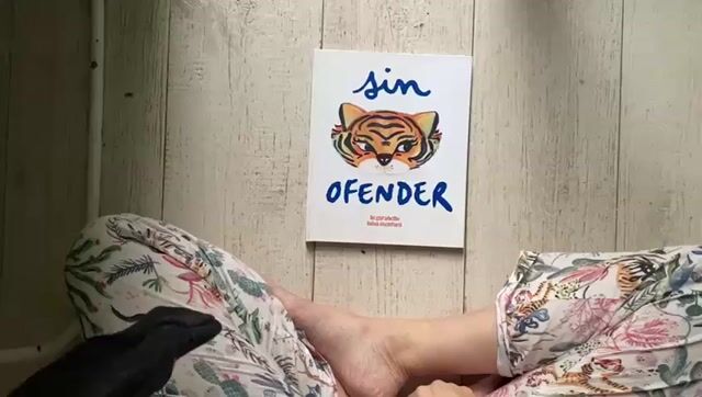 Video de Sin ofender