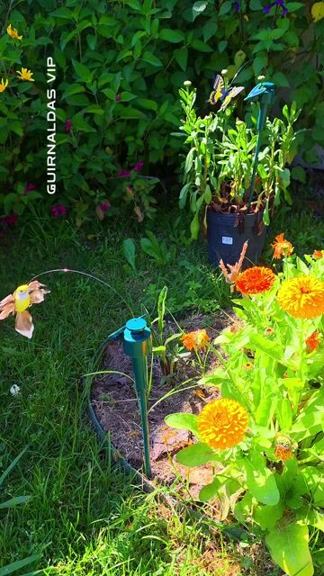 Estaca solar mariposa o colibrí con movimiento plantas jardín