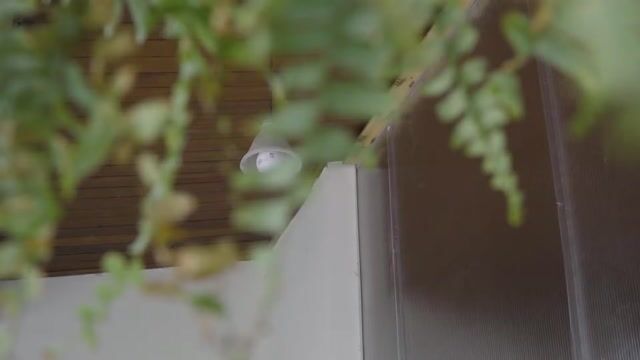 Vídeo de VTV Digital