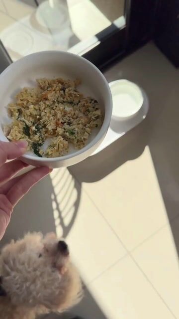 Video de SOKU