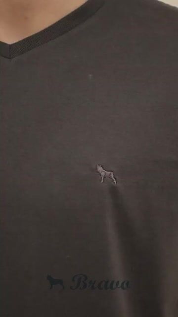 Video de Remera básica escote V gris grafito
