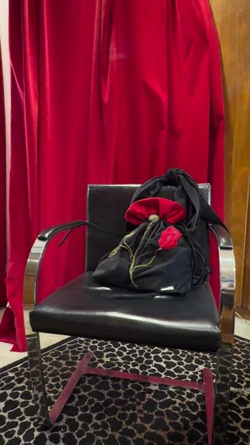 Video de WILD ROSE BAG