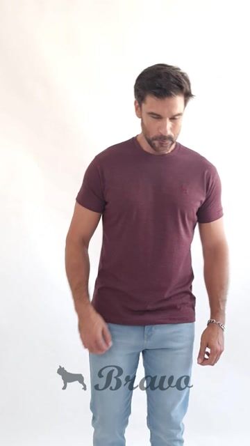 Video de Remera básica Bordó melange