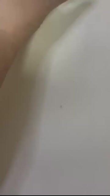 Vídeo de Paula Dalvi Art