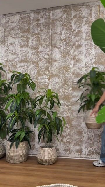 Video de Bolton Home | Plantas artificiales de diseño