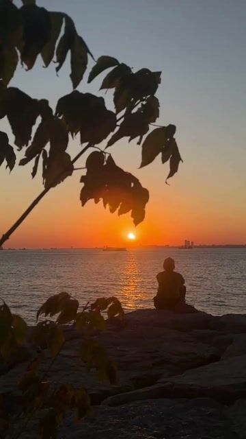 Video de SUA "ALQUIMIA HOLISTICA"